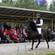 Caballos vikingos e invernaderos volcánicos